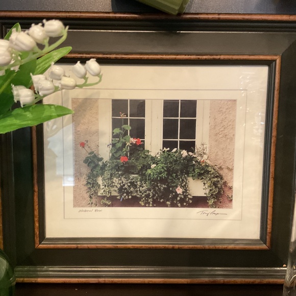 Spring refresh bundle $30 - Picture 3 of 6